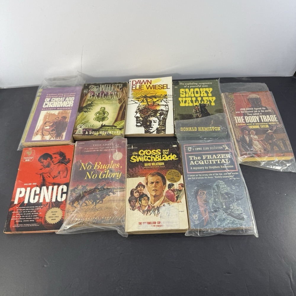 Vintage Paperback Fiction Lot Picnic Elie Wiesel Noir Mystery Drama Pulp